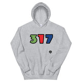 317 Hoodie