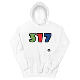 317 Hoodie
